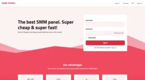 Future SMM Panel Script With Payment Gateways