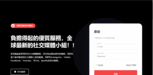 Smart SMM Panel Chinese Version